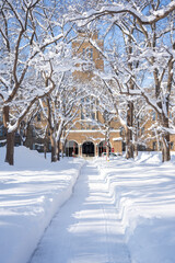 北海道大学