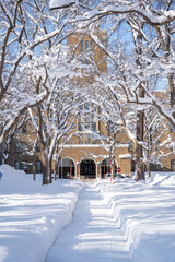 北海道大学