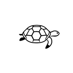 Fototapeta premium Turtle outline, black and white graphic, minimalist illustration, minimalist, turtle, shell, minimalist, turtle, swim, sea, ocean, outline, animal, water, graphic, white, black, lineart, drawing, isol