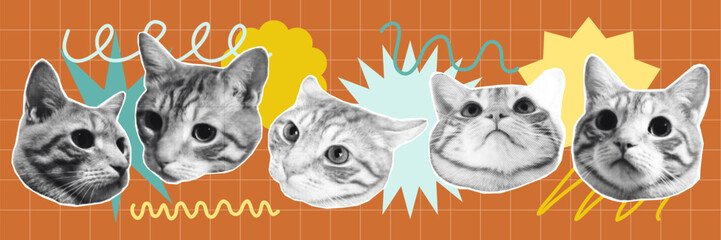  Halftone Cat Faces stickers with Playful Abstract Background