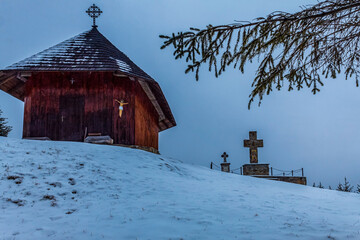 Landscapes - Forest - Europe, Romania, Suceava region