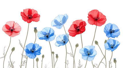 red and blue flowers isolated on white background