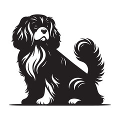 Maltese silhouette highlighting its fluffy and soft coat - Maltese illustration - minimal Maltese vector - dog silhouette
