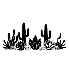 Obraz premium Silhouette of Cactus and Succulent Garden in Black and White.