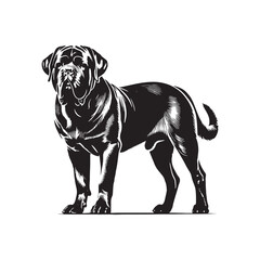 Premium Mastiff silhouette with a striking and refined appearance - Mastiff illustration - minimal Mastiff vector - dog silhouette
