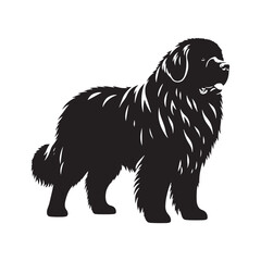 Classic Newfoundland silhouette perfect for creative designs - Newfoundland illustration - minimal Newfoundland vector - dog silhouette
