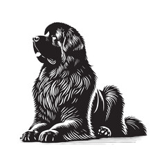 Unique Newfoundland silhouette emphasizing its gentle giant nature - Newfoundland illustration - minimal Newfoundland vector - dog silhouette
