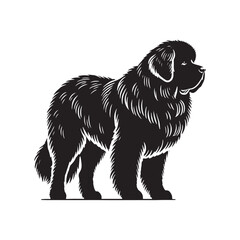 Modern Newfoundland silhouette designed for versatile use - Newfoundland illustration - minimal Newfoundland vector - dog silhouette

