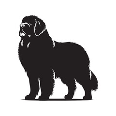 Newfoundland silhouette crafted for pet lovers and designers alike - Newfoundland illustration - minimal Newfoundland vector - dog silhouette
