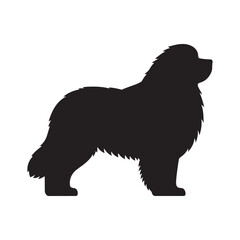 Creative Newfoundland silhouette designed with fine-tuned details - Newfoundland illustration - minimal Newfoundland vector - dog silhouette
