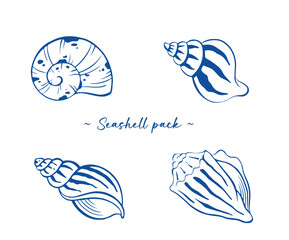 Seashell pack vector illustration drawing.