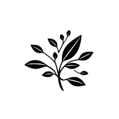 Simplistic black and white illustration of a twig with leaves, vector graphic of a plant.