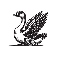 Fototapeta premium Gender Goose Cute Vector Design