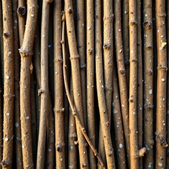 Varying thin sticks and branches forming a layered effect, rustic, earthy