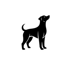 Black Silhouette Dog on White Background, Upward Gaze.