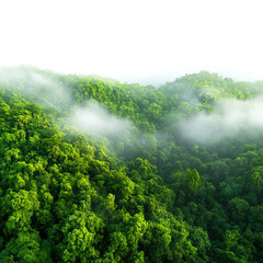 Breathtaking aerial view of lush green forests surrounded by soft mist
