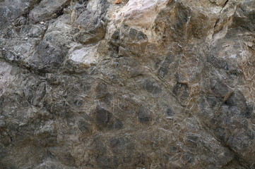 Natural textures emerge from rugged stone surface under soft daylight in a serene outdoor setting