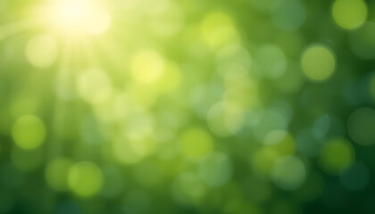 Obraz premium Green bokeh with sunlight