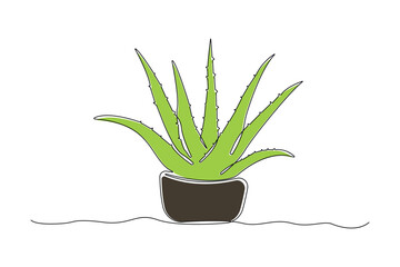 Hand-drawn aloe vera line art drawing. Aloe Vera plant linear icon vector.	