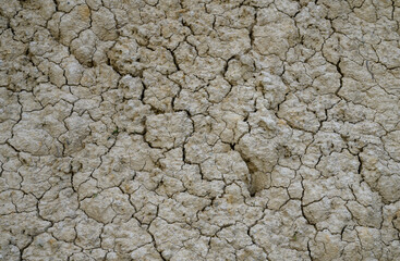 Cracked earth reveals the effects of drought in a dry landscape during a sunny day