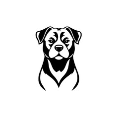 Fototapeta premium Black and white image of a dog, front view, showing a black, white, and grey color palette. Dog's eyes are red.