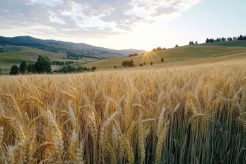 Obraz premium Sunlight filters through golden wheat stalks in expansive fields, evoking themes of fertility, abundance, and spiritual connection during sacred celebrations