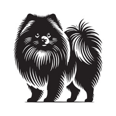 Pomeranian silhouette emphasizing its elegant and fluffy features - Pomeranian illustration - minimal Pomeranian vector - dog silhouette
