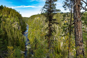 Muddus National Park
