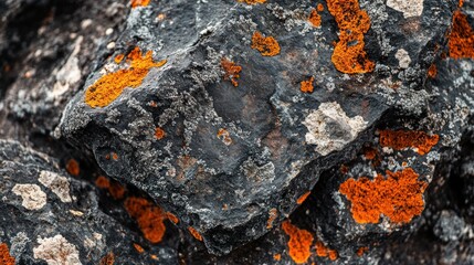 A close-up of dark volcanic rock with rough porous textures, sharp edges, and realistic mineral patterns. Ultra-detailed 4K photography