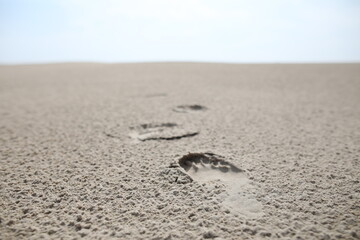 Footprints in the sand
