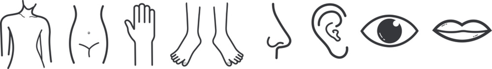 Obraz premium Bundle set outline icon body parts, stomach, hand, leg, nose, ear, eye, mouth