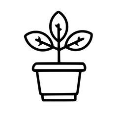 plant in a pot