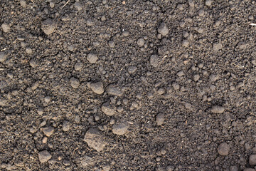 Rocky soil.  rocky stone terrain. Texture of stone . Sandy and rocky soil texture.