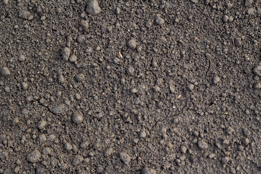 Rocky soil.  rocky stone terrain. Texture of stone . Sandy and rocky soil texture.
