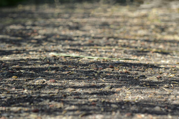 Rocky soil. Top view of rocky stone terrain. Texture of stone . Sandy and rocky soil texture. selective focus