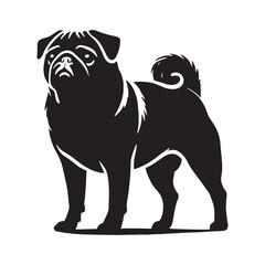 Well-defined Pug silhouette featuring a compact and sturdy build - Pug illustration - minimal Pug vector - dog silhouette

