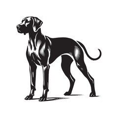 Iconic Rhodesian Ridgeback silhouette perfect for versatile design - Rhodesian Ridgeback illustration - minimal Rhodesian Ridgeback vector - dog silhouette

