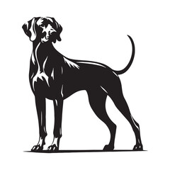 Professional Rhodesian Ridgeback silhouette perfect for design projects - Rhodesian Ridgeback illustration - minimal Rhodesian Ridgeback vector - dog silhouette
