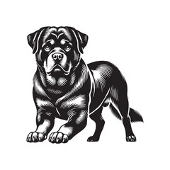 High-resolution Rottweiler silhouette designed for diverse applications - Rottweiler illustration - minimal Rottweiler vector - dog silhouette
