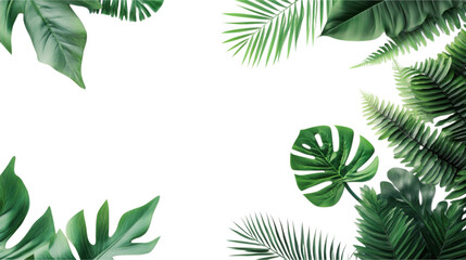 Tropical Lush Green Leaves Border