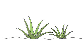 Fototapeta premium Continuous line art drawing of aloe vera plant. Aloe Vera continuous outline vector.