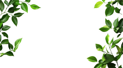 Fototapeta premium Fresh Green Leaves Border Design
