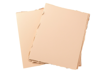 Blank Sheet of Torn Edge Paper Isolated on White Background for Design, Stationery, or Creative Projects