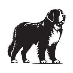 Detailed Saint Bernard silhouette with a strong and friendly pose - Saint Bernard illustration - minimal Saint Bernard vector - dog silhouette
