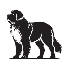 Dynamic Saint Bernard silhouette featuring a strong and confident stance - Saint Bernard illustration - minimal Saint Bernard vector - dog silhouette
