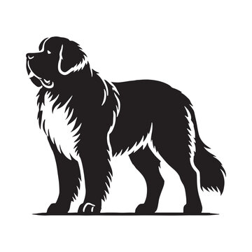 Dynamic Saint Bernard silhouette featuring a strong and confident stance - Saint Bernard illustration - minimal Saint Bernard vector - dog silhouette
