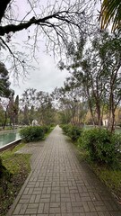 Walking path along the Black Sea embankment in Abkhazia