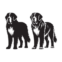 Refined Saint Bernard silhouette perfect for print and digital use - Saint Bernard illustration - minimal Saint Bernard vector - dog silhouette
