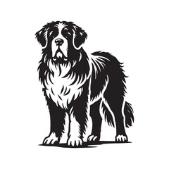Saint Bernard silhouette with a clean and balanced structure - Saint Bernard illustration - minimal Saint Bernard vector - dog silhouette
