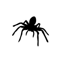 spider isolated on transparent background